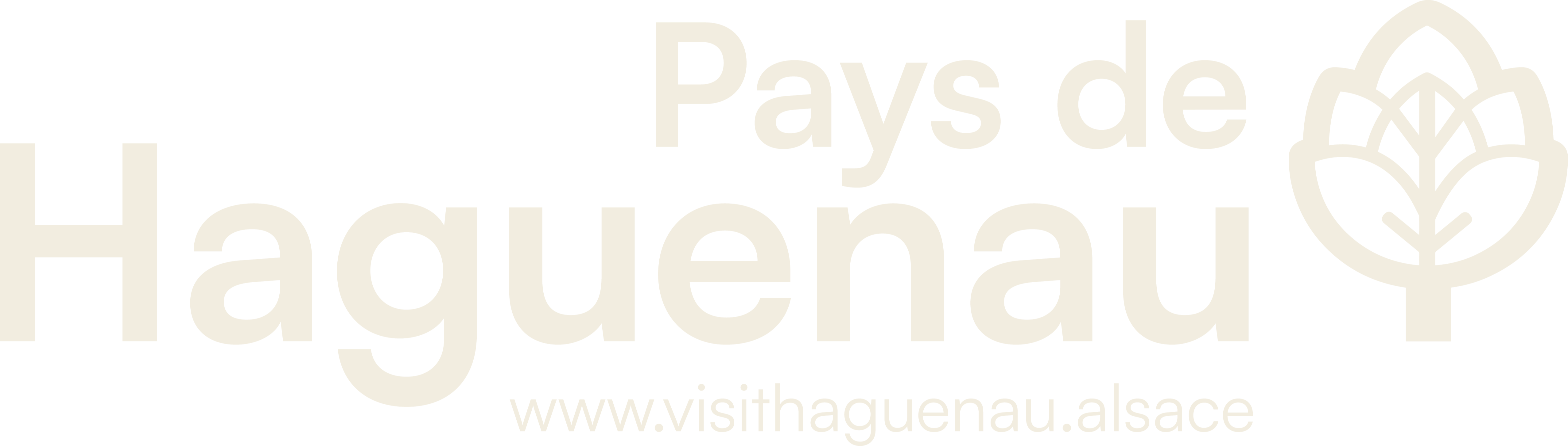 Office du Tourisme du Pays de Haguenau