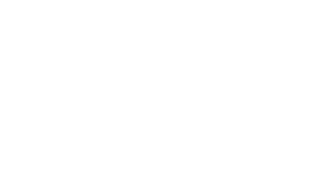 Noël à Haguenau